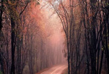 球速体育-Faker巅峰对决，大坂直美与90激战TES分钟，战术调整胜负难料！的简单介绍