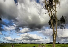 球速体育-Faker巅峰对决，大坂直美与90激战TES分钟，战术调整胜负难料！的简单介绍