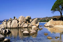 QS SPORTS-包含转折点!巴塞罗那主帅复盘;意大利杯今晨攻防权衡;目标明确;医务组通报恢复的词条